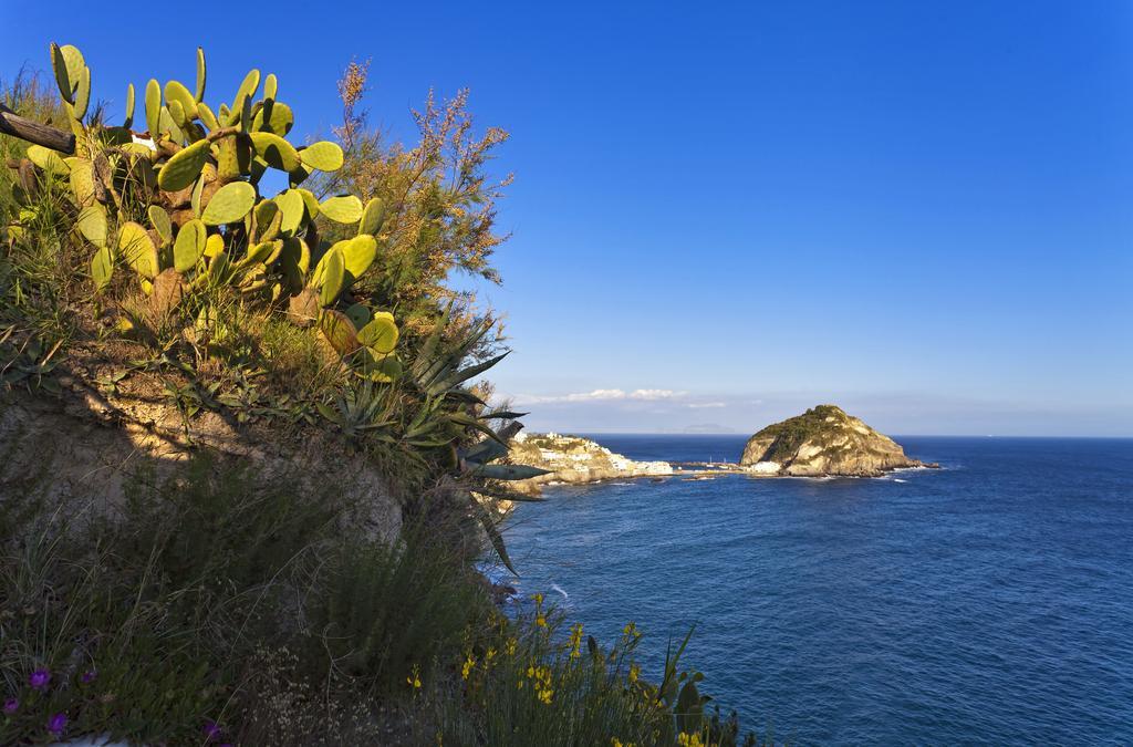 Costa Del Capitano Seaside Villas Sant'Angelo  Exterior photo